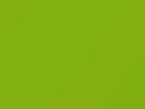 Verde Mura touch-up paint for Lamborghini Urus, code 154.513, 154513, 2019