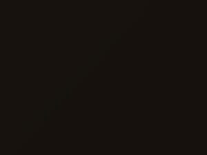 Mercedes-Benz Earth Brown touch up paint 410 2011 All Models