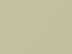 Arctic White touch-up paint for Volkswagen Eurovan, code R902, T7T7, 2000