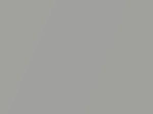 Silver Metallic touch-up paint for Oldsmobile, code 13, 9021, WA9021, 1991