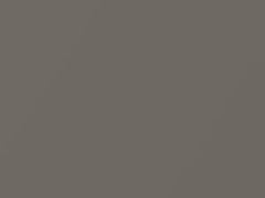 Beige Shining Flake Metallic touch-up paint for Toyota, code 4P2, 2003