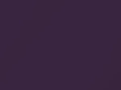 Special Purple Metallic touch-up paint for Daewoo, code SP1, 1998