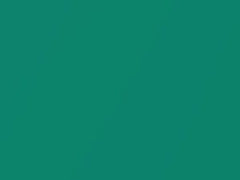 Tropicgruen Pearl touch-up paint for Audi, code 9028, LY6L, 2000
