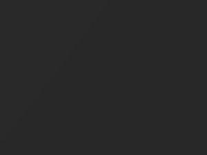 Agate Gray Metallic touch-up paint for Lamborghini, code 224.421, 224421, 2008