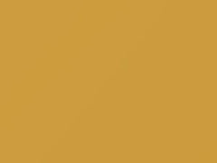 Mercedes-Benz Classic Yellow touch up paint 1695 2004 All Models