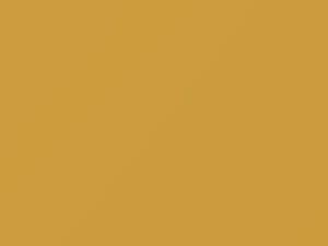 Mercedes-Benz Classic Yellow touch up paint 1695 2003 All Models