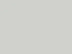 Vail White touch-up paint for Nissan Truck, code 531, 531#2, 1991