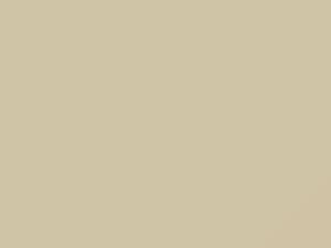 Colonial White touch-up paint for Ford, code E, M30J524, 2008