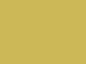 Sunburst touch-up paint for Buick, code 3231, K, WA3231, 1964