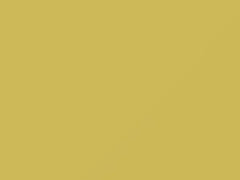Sunburst touch-up paint for Buick, code 3231, K, WA3231, 1964