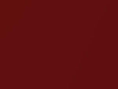 Cayenne Red Metallic touch-up paint for Pontiac Firebird, code 96, 1998