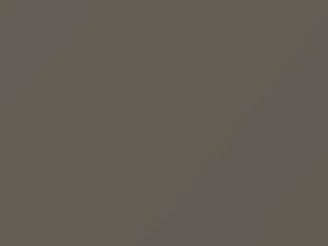 Dove Gray touch-up paint for Chevrolet S10 Pickup, code 18, 9017, WA9017, 1994
