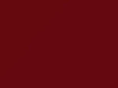 Bright Red V touch-up paint for Subaru Justy, code ZCF, 2009