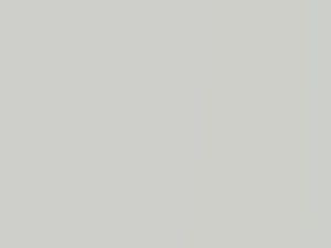 White Pearl/Galaxy White Pearl touch-up paint for Dodge Stealth, code AC10875, W75, 1996