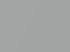 Arctic Silver Metallic touch-up paint for Lotus, code B115, 2017