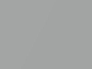 Arctic Silver Metallic touch-up paint for Lotus Lotus, code B115, 2004