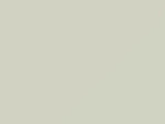 Superior White touch-up paint for Daewoo, code SW0, 1997