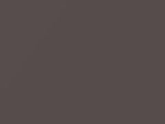 Medium Taupe Metallic touch-up paint for Cadillac Fleetwood, code 63, 9811, WA9811, 1994