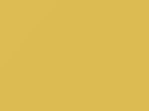 Light Yellow touch-up paint for Nissan, code EH2, 2001
