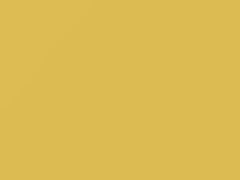 Light Yellow touch-up paint for Nissan, code EH2, 1997