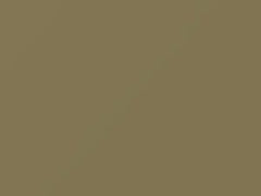 Light Olive touch-up paint for Nissan, code E20, 2006