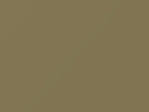 Light Olive touch-up paint for Nissan, code E20, 2006