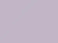 Lavender White touch-up paint for Toyota, code 947, 2001