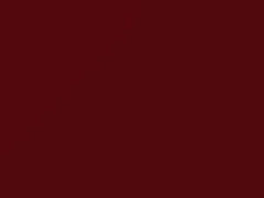 Red touch-up paint for Nissan 350Z, code AX6, 2004