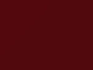 Red touch-up paint for Nissan 350Z, code AX6, 2004