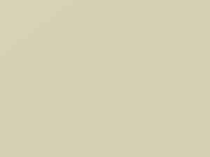 Vanilla White touch-up paint for Toyota, code 067, 67, 2001