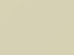 Vanilla White touch-up paint for Toyota, code 067, 67, 2001