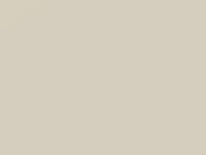 White touch-up paint for Toyota, code 060, 60, 1998