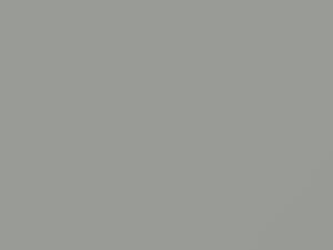 Silver touch-up paint for Nissan, code WK1, 1996