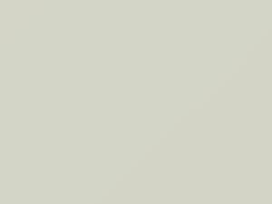 Super White touch-up paint for Toyota, code 035, 35, 2019