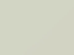 New White/Winter White touch-up paint for Toyota Previa, code 041, 41, 1996