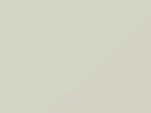 New White/Winter White touch-up paint for Toyota, code 041, 41, 1993