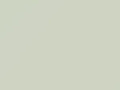 Alpine White touch-up paint for Isuzu D-Max, code 617, W201P802-0, 2006