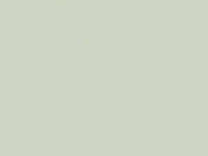 Alpine White touch-up paint for Isuzu D-Max, code 617, W201P802-0, 2006