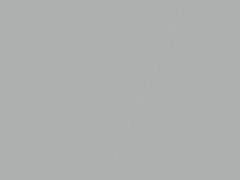 Mercedes-Benz Nevada Silver Metallic touch up paint 721 2011 All Models