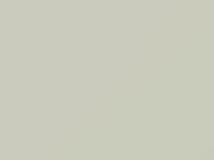 Diamond White touch-up paint for Volkswagen Fox, code L801, L8012, 1991