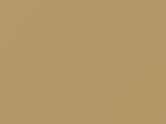 Light Yellow touch-up paint for Nissan, code E41, 2020