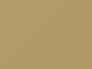 Light Yellow touch-up paint for Nissan, code E41, 2020