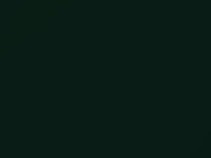 British Racing Green touch-up paint for Lotus, code B04, 2000