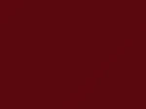 BMW Chili Red touch up paint 851 2002 All Models