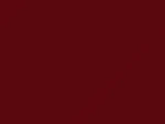 BMW Chili Red touch up paint 851 2001 All Models