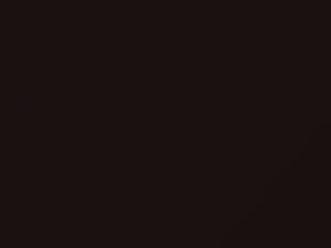 Dark Cabernet Metallic touch-up paint for Ford, code 9P, 1988