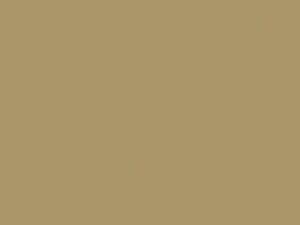Beige touch-up paint for Daihatsu, code T08, 1987