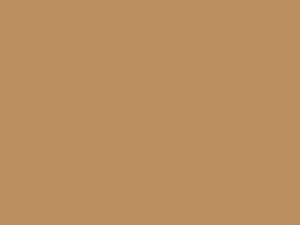 Doeskin Tan touch-up paint for Isuzu, code 809, U715P801-0, 2003