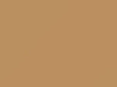 Doeskin Tan touch-up paint for Isuzu, code 809, U715P801-0, 1999