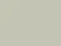White touch-up paint for Daihatsu, code W20, 2017
